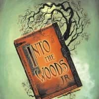 Into the Woods Jr -Showkit